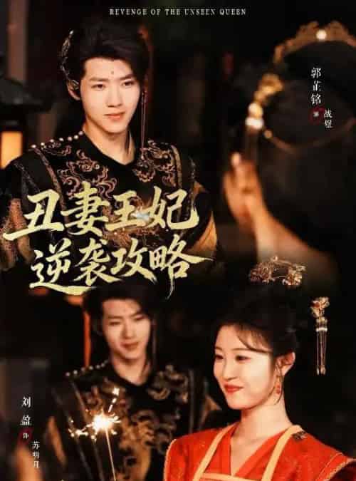 丑妻王妃逆袭攻略（62集全）刘盈＆郭芷铭-海之城短剧项目