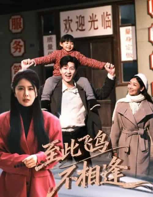 至此飞鸟不相逢（70集全）丁海霞＆王鹏-海之城短剧项目