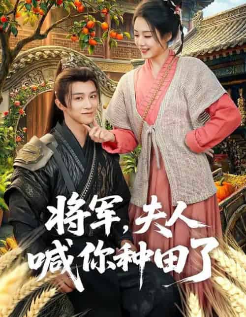 将军，夫人喊你种田了（80集全）陈外＆胡少琛-海之城短剧项目