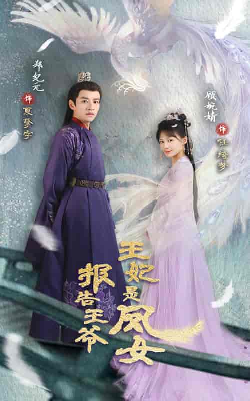 报告王爷王妃是凤女（78集） - 海之城短剧