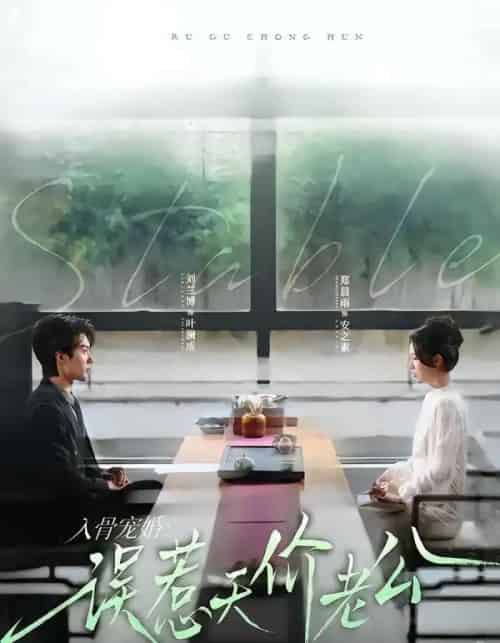 入骨宠婚：误惹天价老公（79集全）刘兰博＆郑晨雨-海之城短剧项目