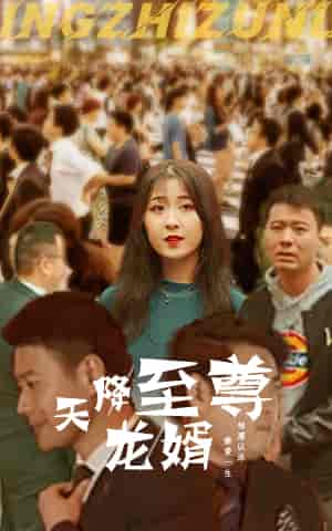 天降至尊龙婿 天降至尊龙婿