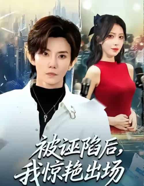 被诬陷后，我惊艳出场（65集全）玲玲＆霭可-海之城短剧项目