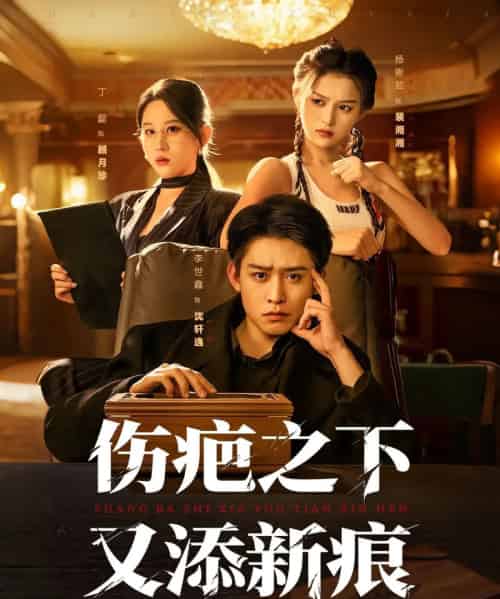 伤疤之下又添新痕（60集全）李世鑫＆丁磊-海之城短剧项目