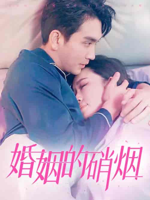 婚姻的硝烟（97集） - 海之城短剧