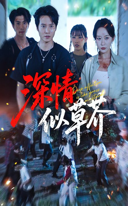 深情似草芥（51集全）源鑫＆王瀚迎 - 海之城短剧