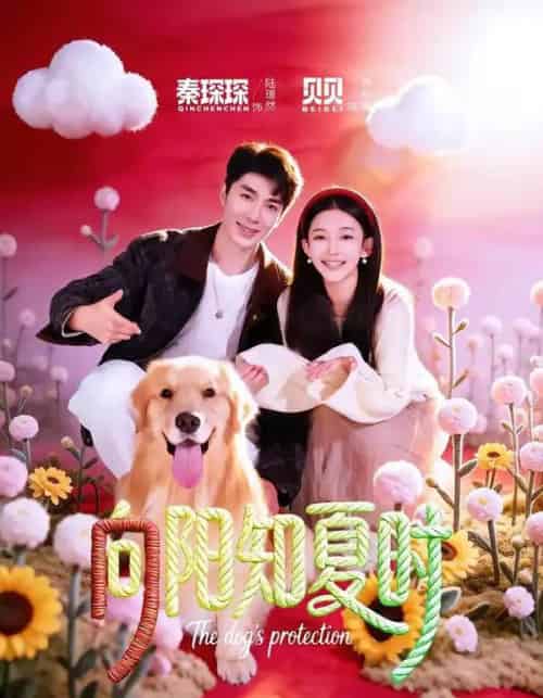 向阳知夏时（80集全）秦琛琛＆贝贝-海之城短剧项目