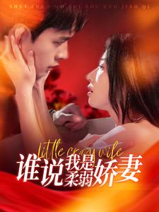 谁说我是柔弱娇妻（99集）乔佳乐＆张启璇 - 海之城短剧