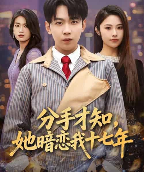 分手才知，她暗恋我十七年（80集全）姚洁茹＆丁子晨-海之城短剧项目