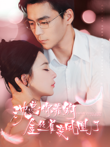 沈总你养的金丝雀变凤凰了（100集全）黎晟萱 永琪 - 海之城短剧