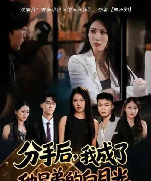 分手后，我成了他兄弟的白月光（80集全）王熳熳＆俊亦-海之城短剧项目