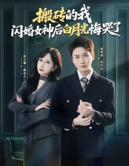搬砖的我，闪婚女神后白月光悔哭了（80集全）陈彦霖＆张天馨-海之城短剧项目