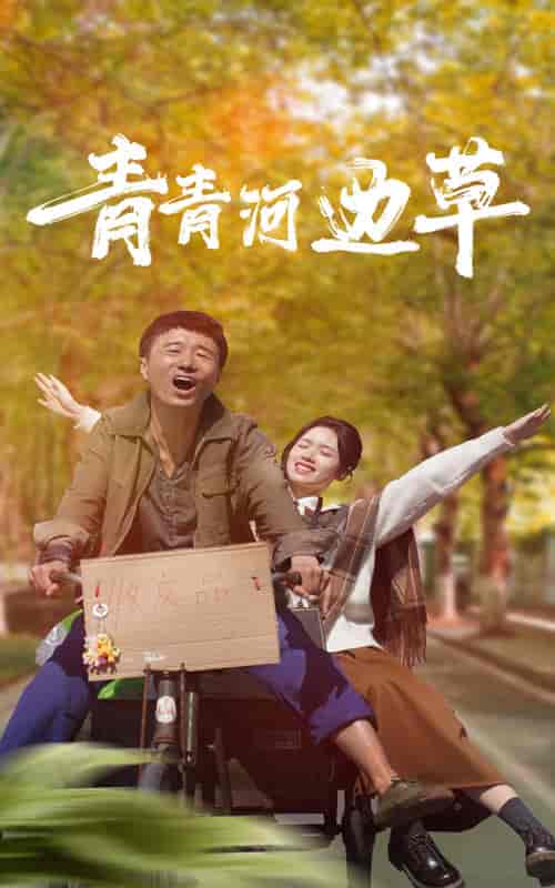 青青河边草（61集） - 海之城短剧