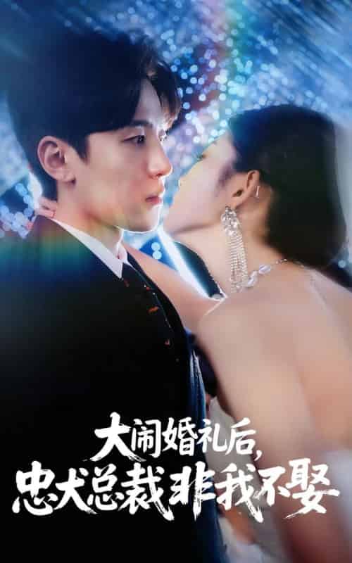 大闹婚礼后忠犬总裁非我不娶 （80集） 刘盈＆王知煜-海之城短剧项目