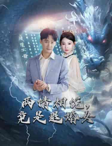 刁蛮退婚女，师姐帮我报大仇＆两情相悦，竟是退婚女（81集） - 海之城短剧
