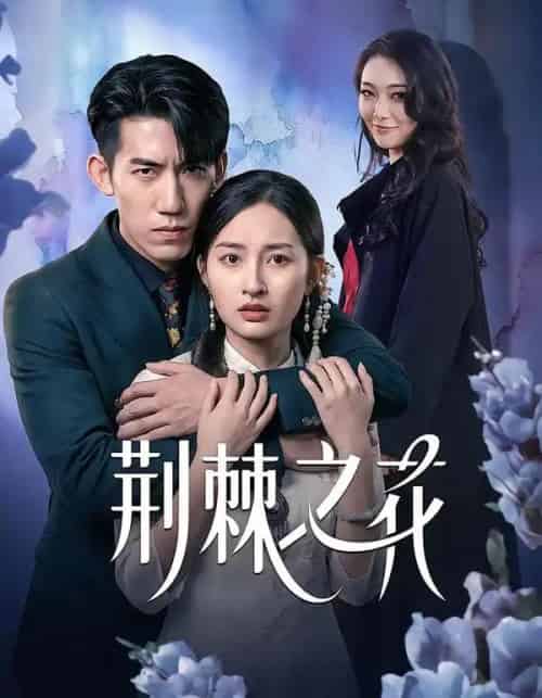 荆棘之花（100集全）杨可忻＆范哲宇-海之城短剧项目