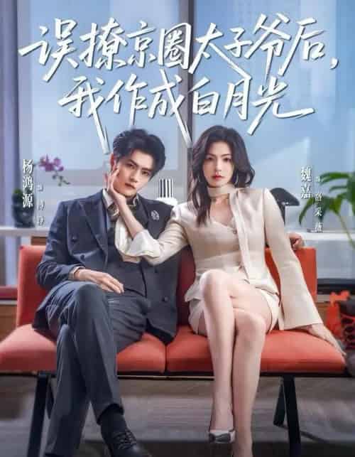 误撩京圈太子爷后，我作成白月光（81集全）杨鸿源＆魏嘉-海之城短剧项目