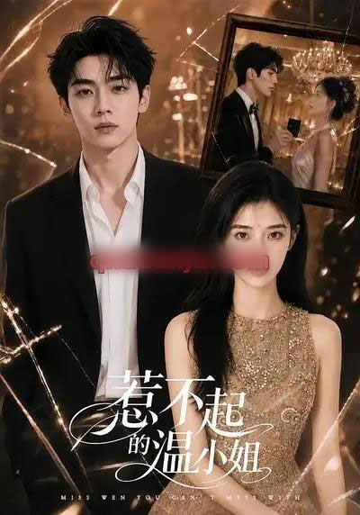 惹不起的温小姐（80集全）AI短剧-海之城短剧项目