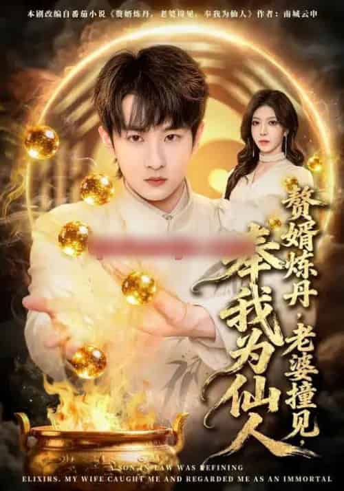 赘婿炼丹，老婆撞见，奉我为仙人（59集全）童家豪＆李伊琳-海之城短剧项目