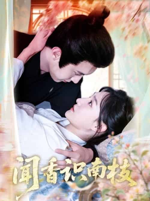 闻香识南枝（60集全）李羽彤＆希尔力 - 海之城短剧