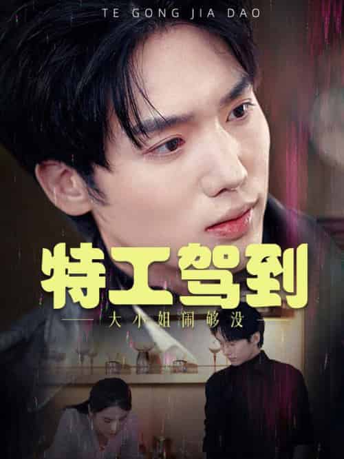特工驾到大小姐别闹了（40集全）韩江宇 - 海之城短剧