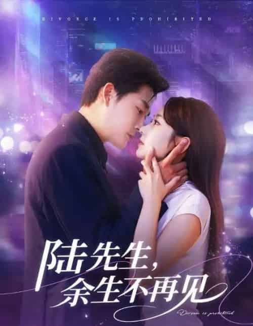 陆先生，余生不再见（88集全）张旋＆孟嘉鑫-海之城短剧项目