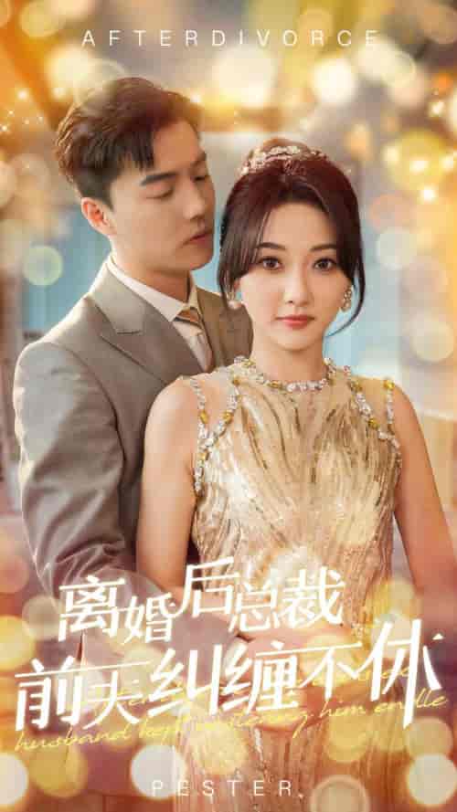 离婚后总裁前夫纠缠不休（72集全）杜亚飞＆李若琪 - 海之城短剧