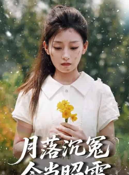 月落沉冤今当昭雪（60集）魏浩然＆王倩-海之城短剧项目