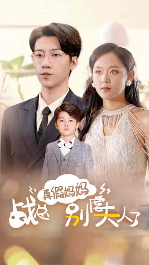 真假妈妈战总别虐夫人了＆战总你找错夫人了（80集）张韫韬＆李雪阳 - 海之城短剧