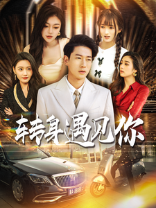 转身遇见你（100集） - 海之城短剧