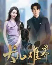 犬儿难养（38集）张炘童-海之城短剧项目