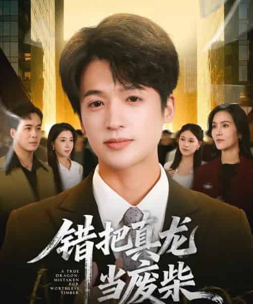 错把真龙当废柴（71集全）博之＆张翎月-海之城短剧项目