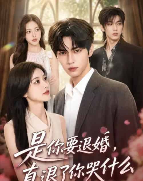 是你要退婚，真退了你哭什么（69集全）AI-海之城短剧项目