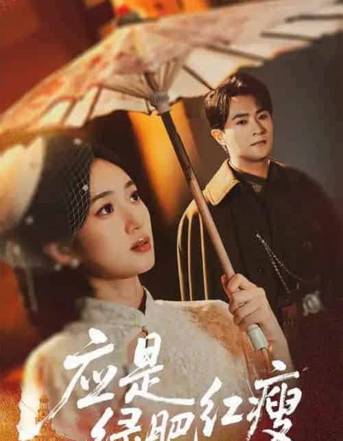 应是绿肥红瘦（111集全）杨文昊＆史小叶-海之城短剧项目