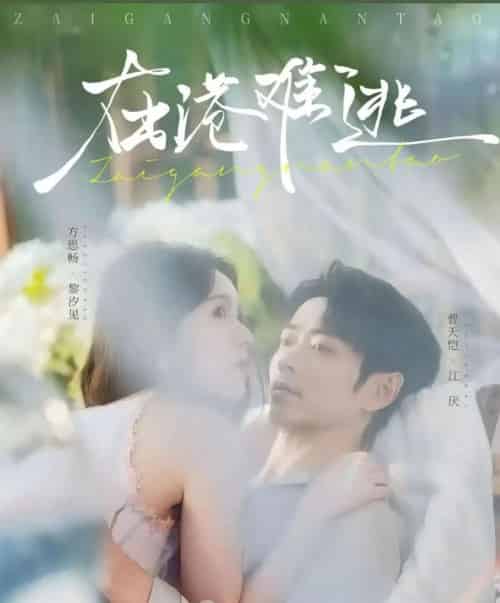 在港难逃（74集全）曹天恺＆方思畅-海之城短剧项目