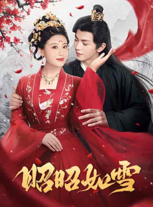 昭昭如雪（60集全）叶皓然＆于小婉儿 - 海之城短剧