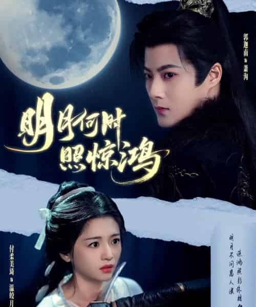 明月何时照惊鸿 明月何时照惊鸿
