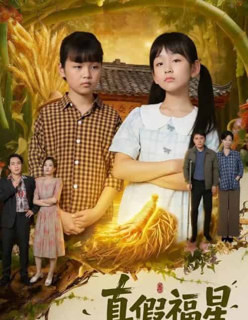 真假福星（66集全）陈王意＆毛渤陇-海之城短剧项目