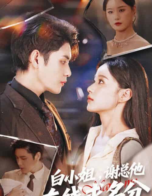 白小姐，谢总他在线求名分（56集全）张志伟＆王宇婧-海之城短剧项目