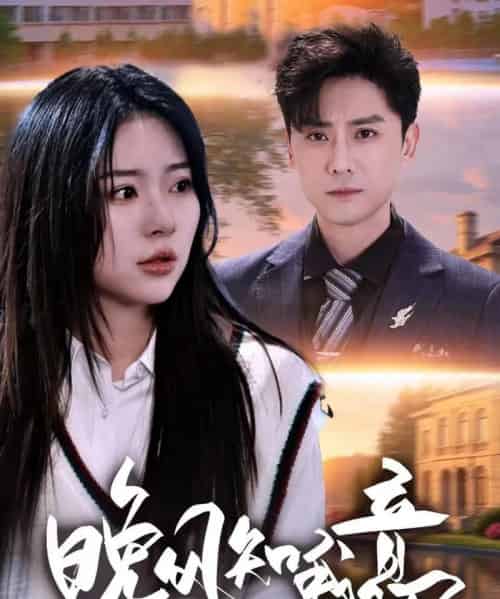 晚风知我意   共50集-海之城短剧项目