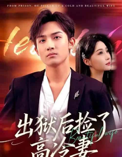 出狱后捡了高冷妻（71集全）沈樑＆冯瑞-海之城短剧项目