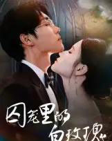 囚笼里的白玫瑰（59集全）李明轩-海之城短剧项目