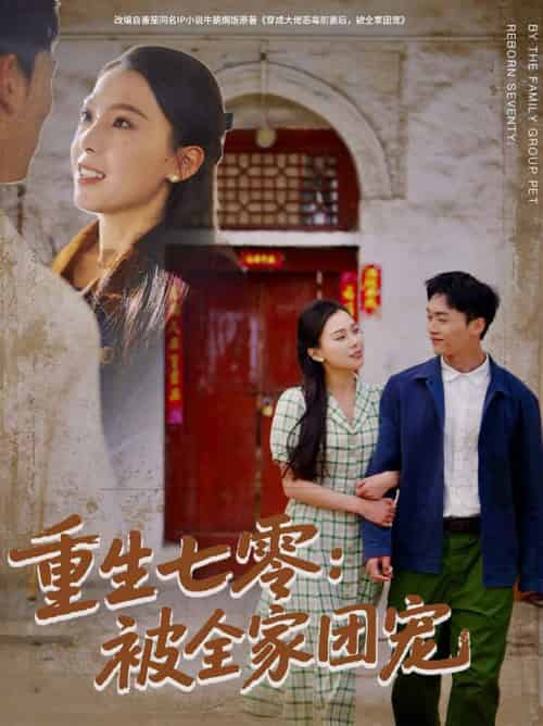 重生七零：被全家团宠（81集全）程勇炜＆苏寰 - 海之城短剧