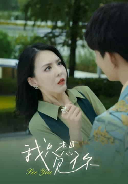 我只想见你（23集全）裴御琛＆宁萌萌 - 海之城短剧