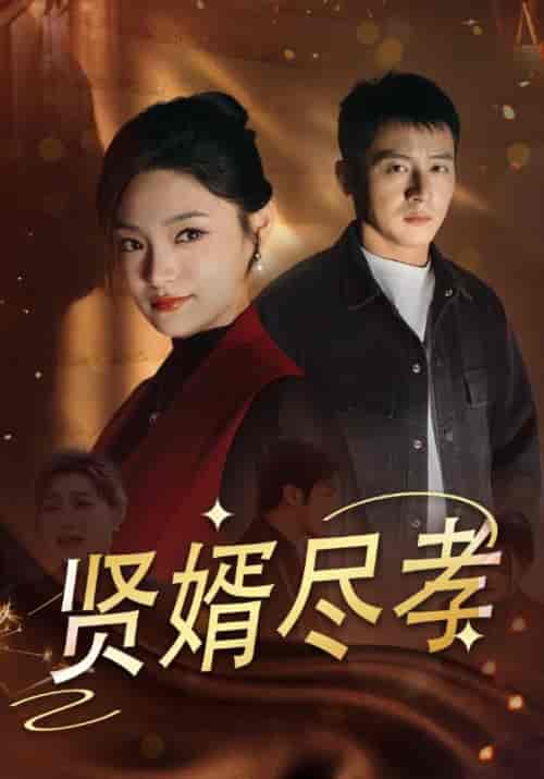 贤婿尽孝（50集全）苏浩＆林清月 - 海之城短剧