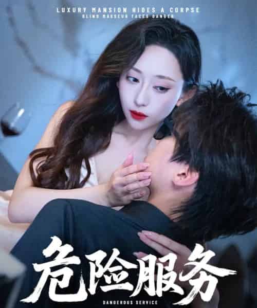 危险服务 危险服务