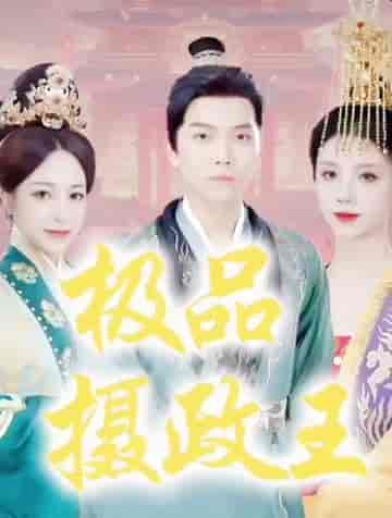 极品摄政王（最强摄政王）100集 穿越剧 - 海之城短剧