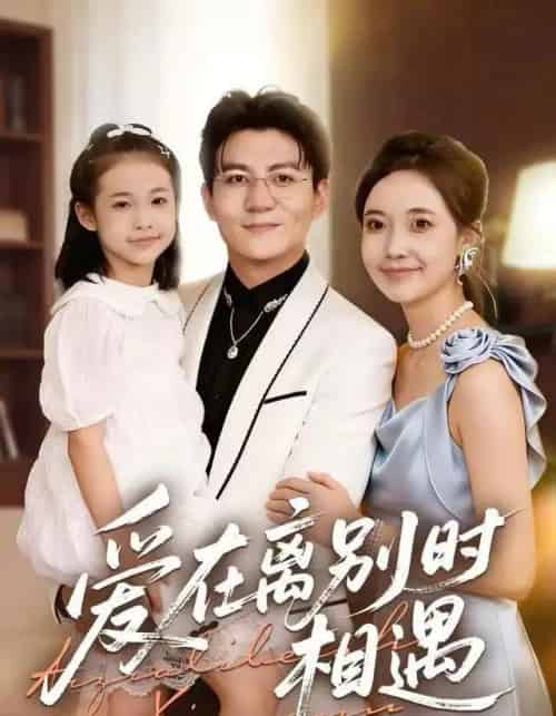 爱在离别时相遇（60集全）刘琪＆朱元政＆桂羽灿-海之城短剧项目