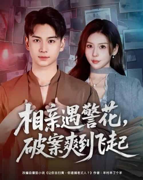 相亲遇警花，破案爽到飞起（80集全）夏梦＆范高坡-海之城短剧项目