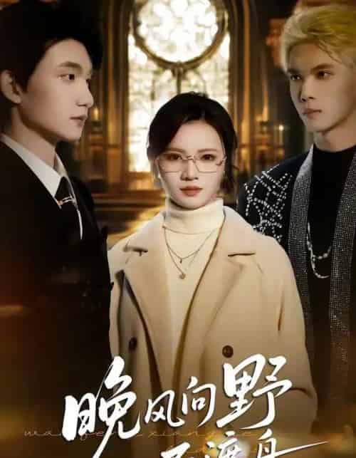 晚风向野不渡舟（60集全）丁紫嫣＆李昊成-海之城短剧项目